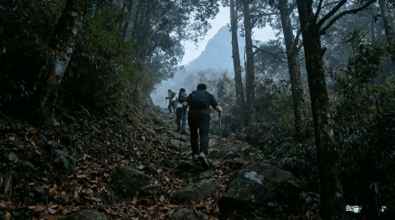 旋风加速器如何安全翻墙下载资源指南